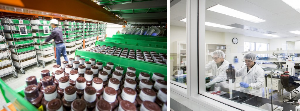 bio rad glassdoor bio rad glassdoor